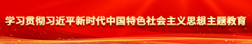 鸡巴操穴视频网站3p学习贯彻习近平新时代中国特色社会主义思想主题教育